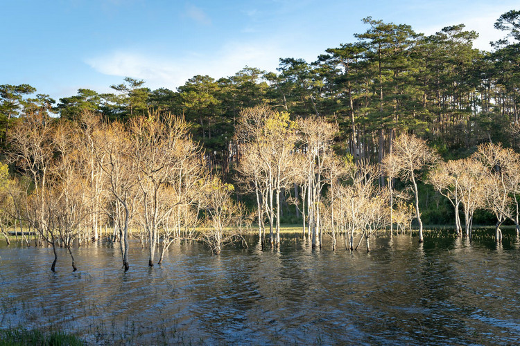 河流水質(zhì)監(jiān)測(cè).jpeg